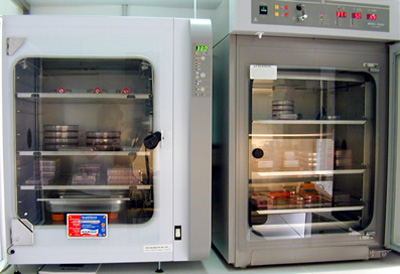 二氧化碳培養(yǎng)箱的使用和保護(hù)